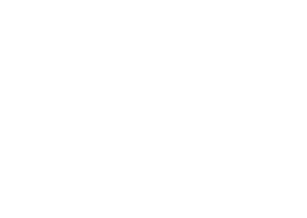 Perfit Logo